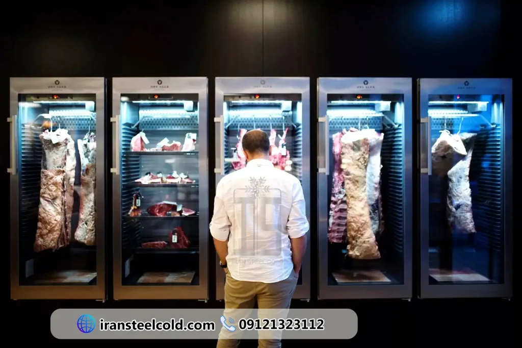 قیمت یخچال قصابی