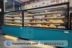 ShiriniNeyshekar-iransteelcold-1